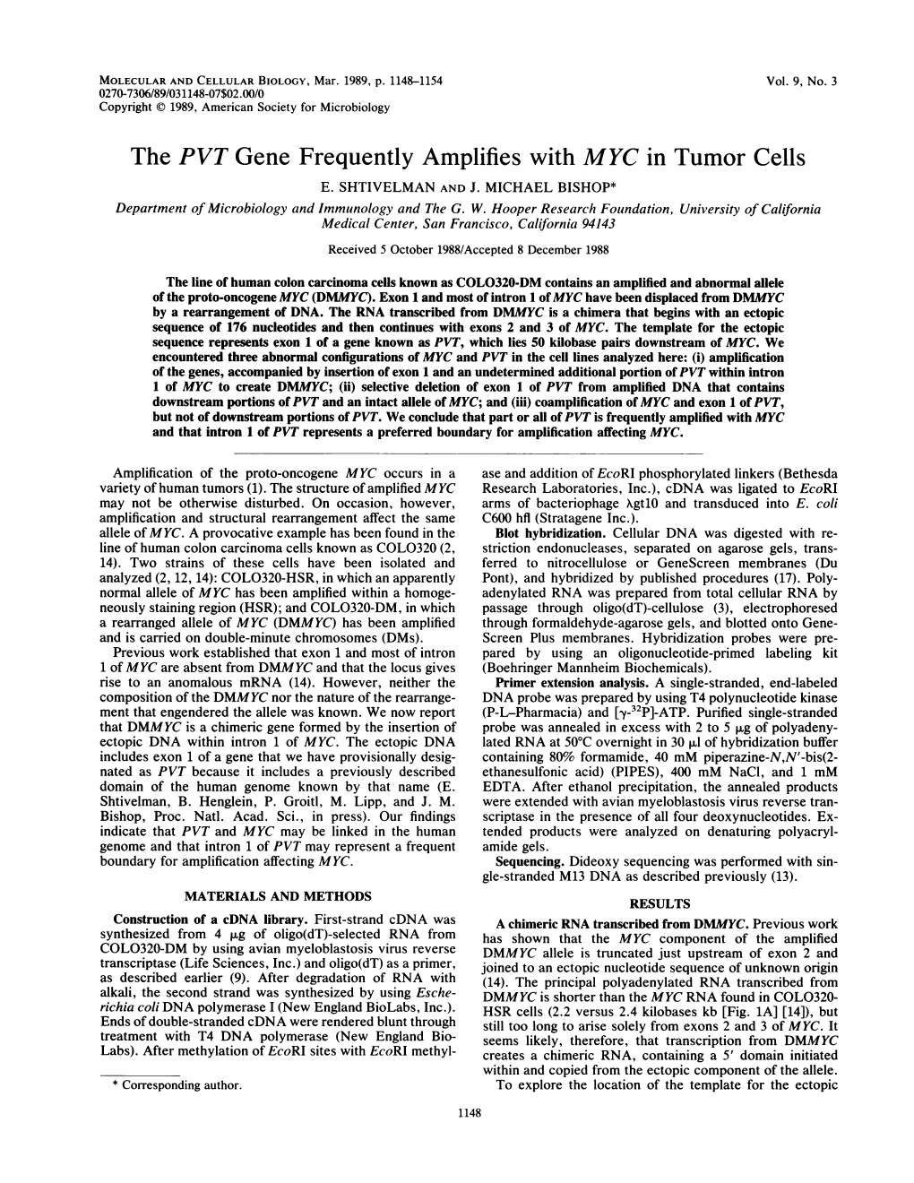 The PVT Gene Frequently Amplifies with MYC in Tumor Cells E