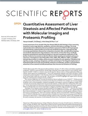 Quantitative Assessment of Liver Steatosis and Affected Pathways