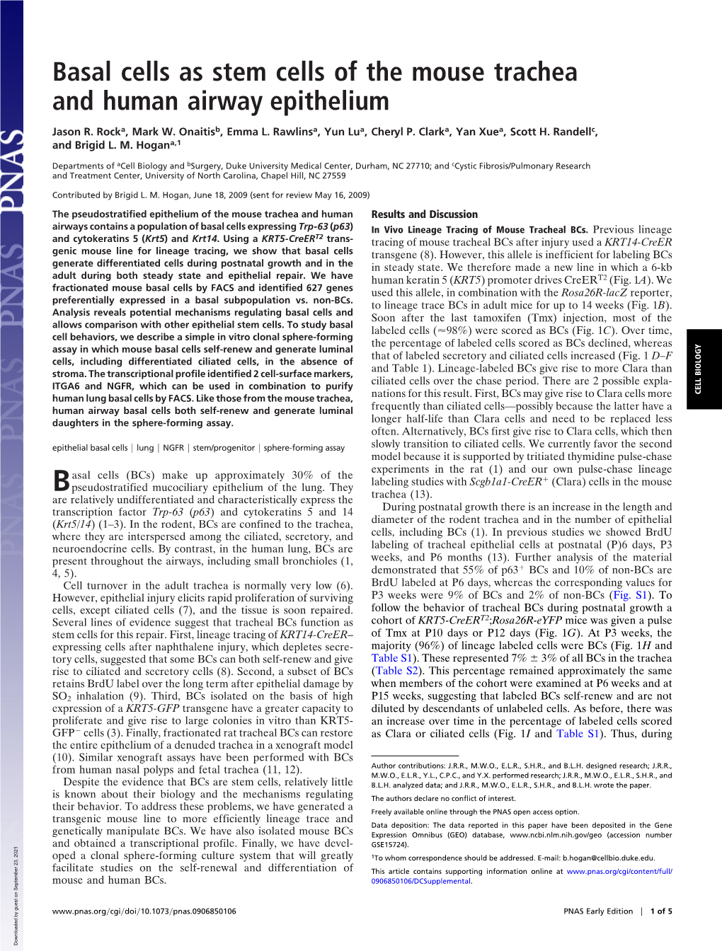 Basal Cells As Stem Cells of the Mouse Trachea and Human Airway Epithelium