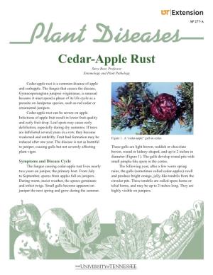 Cedar-Apple Rust Steve Bost, Professor Entomology and Plant Pathology