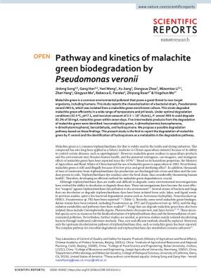 Pathway and Kinetics of Malachite Green Biodegradation By