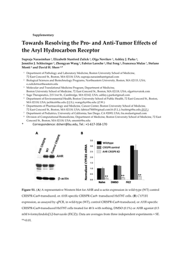 And Anti-Tumor Effects of the Aryl Hydrocarbon Receptor