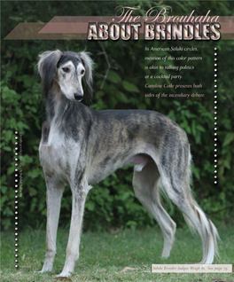 Saluki Breeder-Judges Weigh In. See Page 75