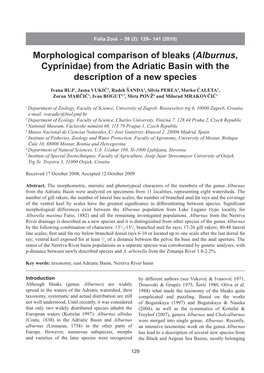 Morphological Comparison of Bleaks (Alburnus, Cyprinidae) from the Adriatic Basin with the Description of a New Species