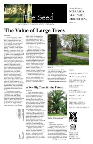 The Value of Large Trees