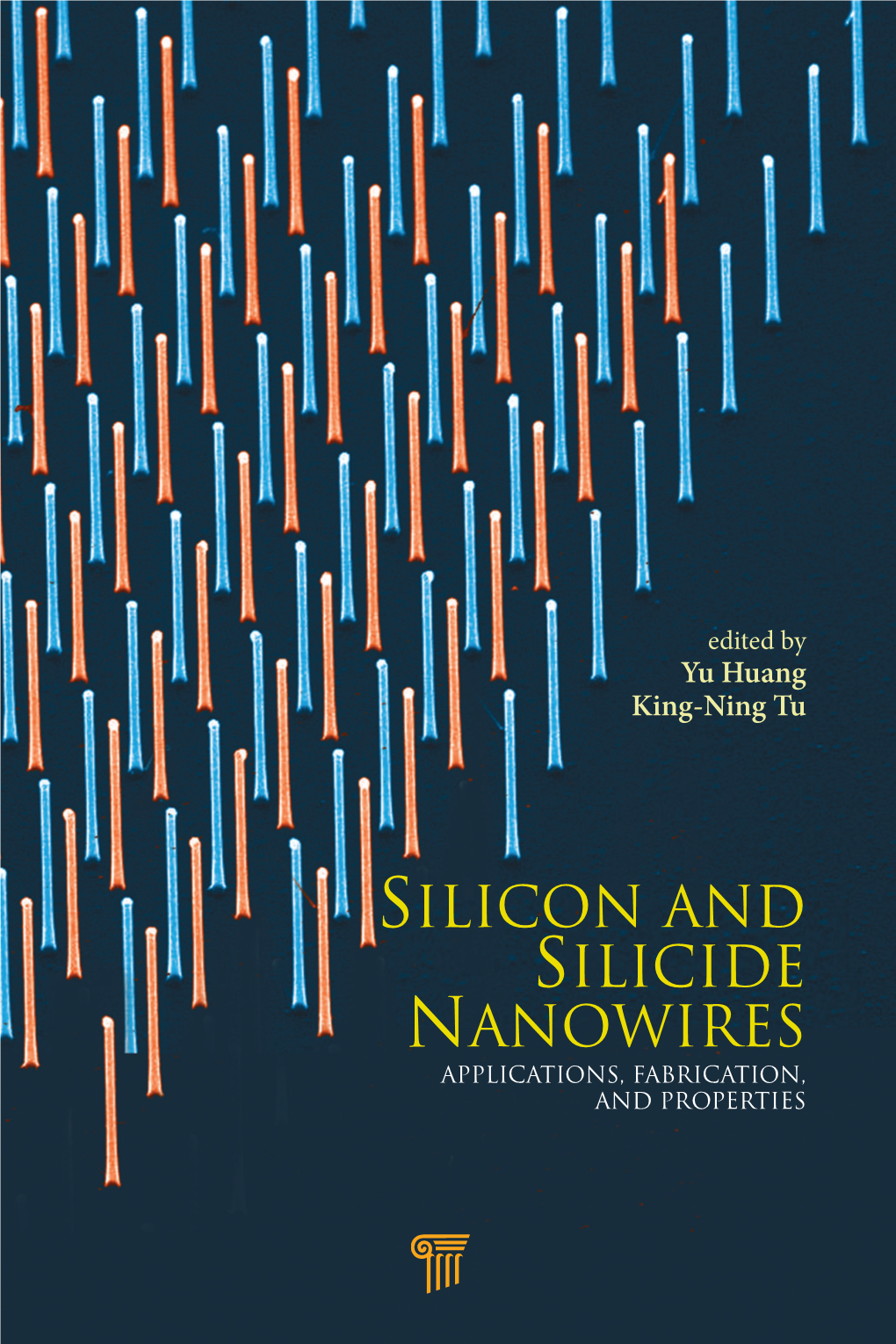 Silicon and Silicide Nanowires