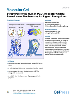 Structures of the Human PGD2 Receptor CRTH2 Reveal Novel Mechanisms for Ligand Recognition