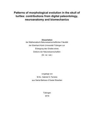 Patterns of Morphological Evolution in the Skull of Turtles: Contributions from Digital Paleontology, Neuroanatomy and Biomechanics