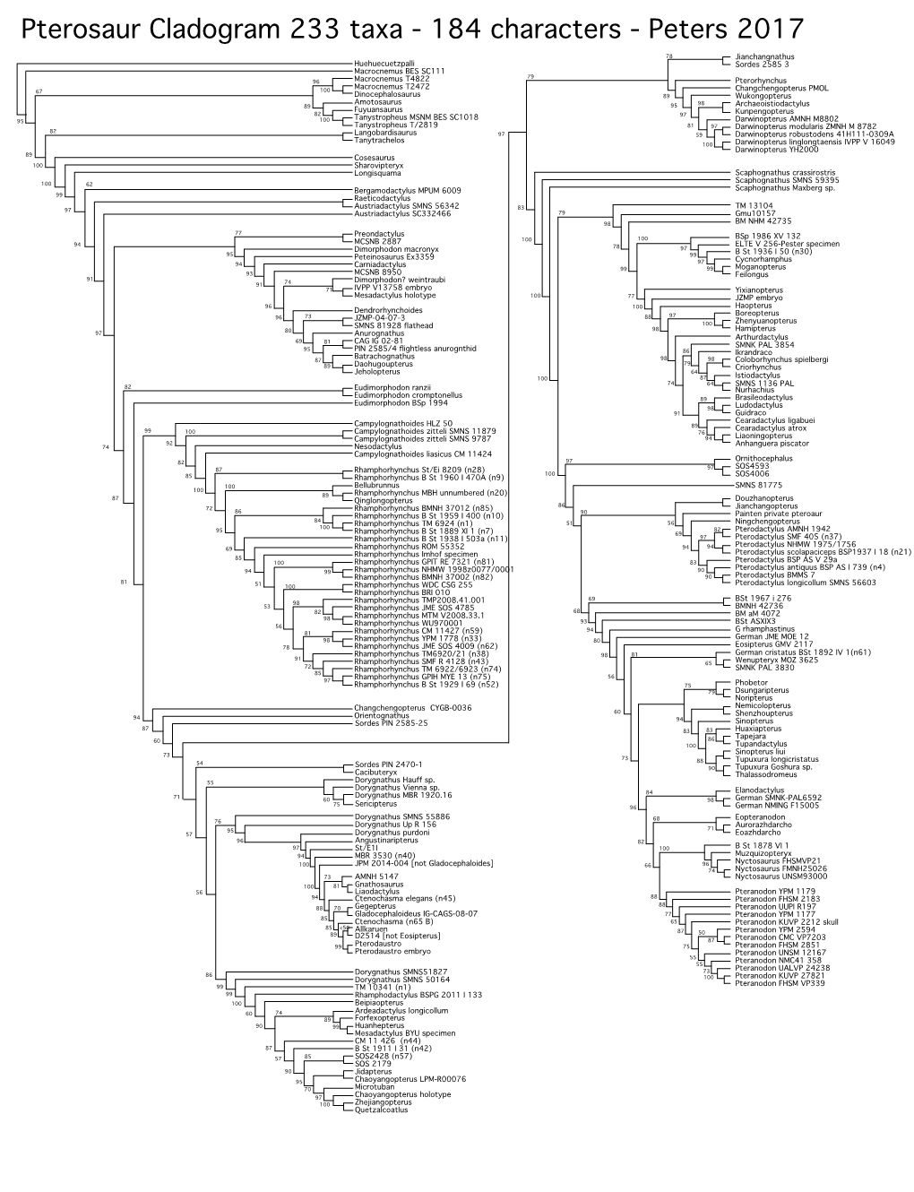 Pterosaur Cladogram 233 Taxa