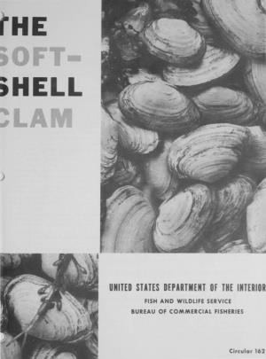 Circular 162. the Soft-Shell Clam