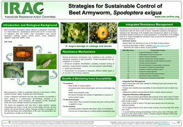 Strategies for Sustainable Control of Beet Armyworm, Spodoptera Exigua Insecticide Resistance Action Committee