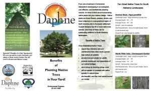 Appendix J-Brochure Benefits to Planting Native Trees