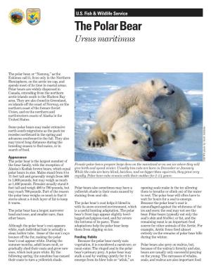 The Polar Bears Or Their Parts and Products Habitats, Harvest Allocations Based on Developing Cubs Through the Winter