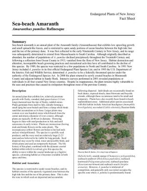 Sea-Beach Amaranth Amaranthus Pumilus Rafinesque