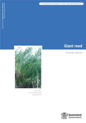 Giant Reed (Arundo Donax) Invasion, Biological Invasions 5: 167–177