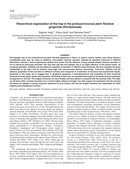 Hierarchical Organisation of the Trap in the Protocarnivorous Plant Roridula Gorgonias (Roridulaceae)