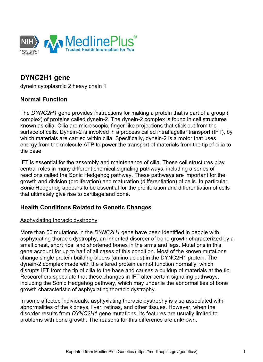 DYNC2H1 Gene Dynein Cytoplasmic 2 Heavy Chain 1