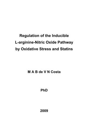 Effects of Oxidative Stress on the Expression and Function of L