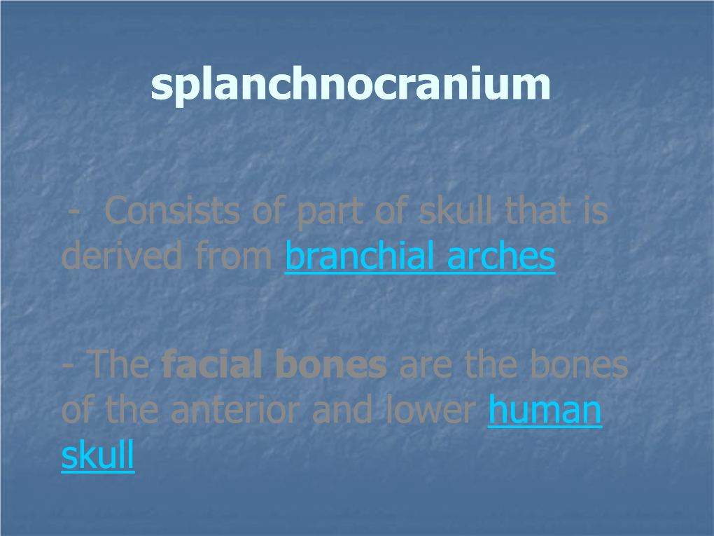 Splanchnocranium