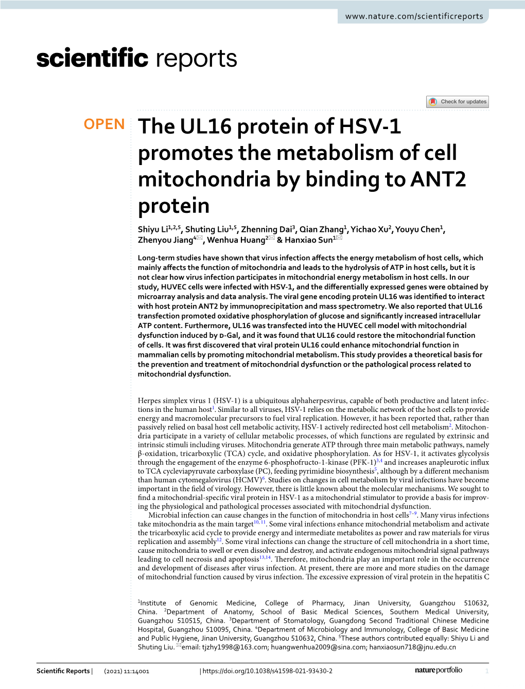 The UL16 Protein of HSV-1 Promotes the Metabolism of Cell Mitochondria