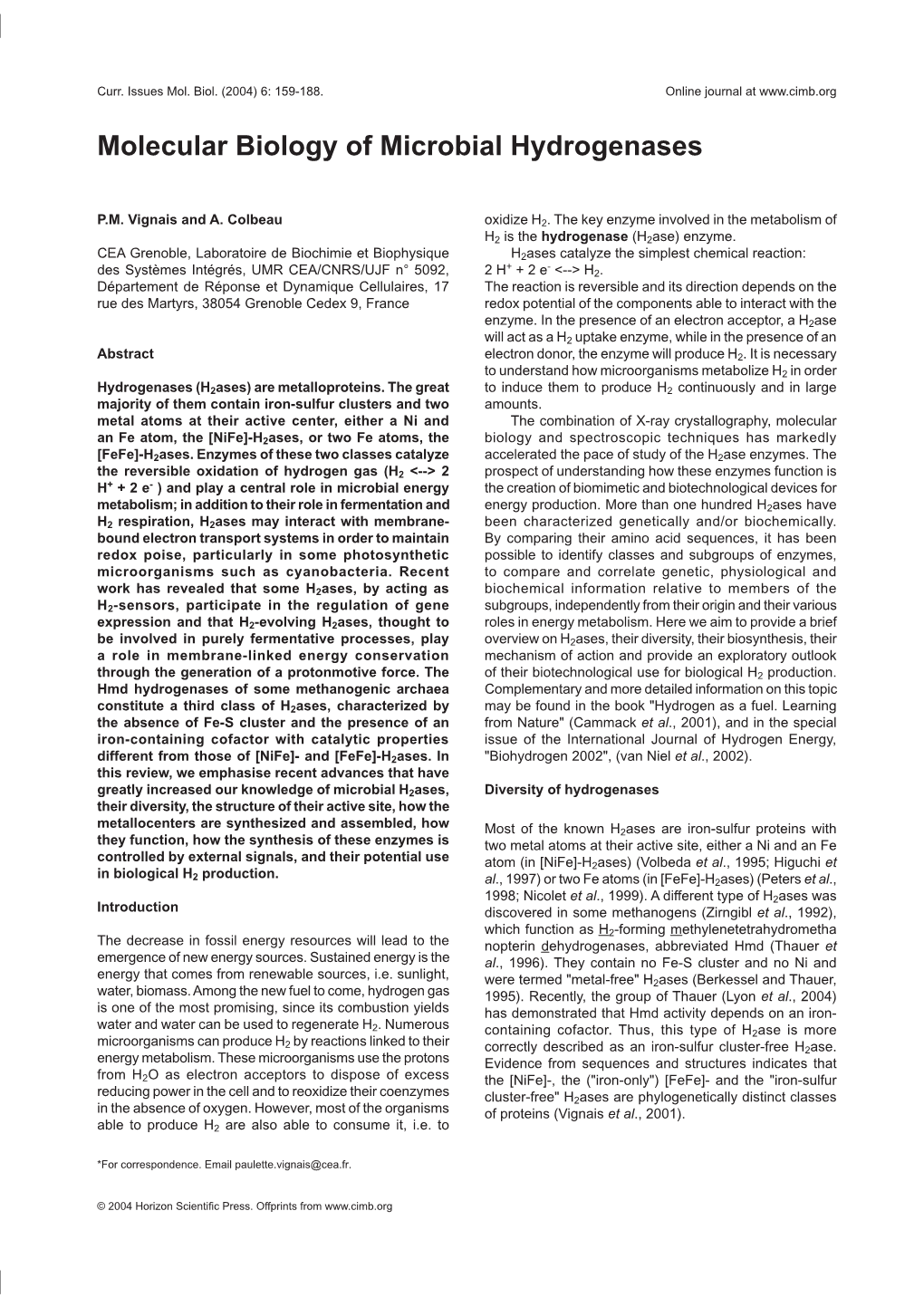 Molecular Biology of Microbial Hydrogenases