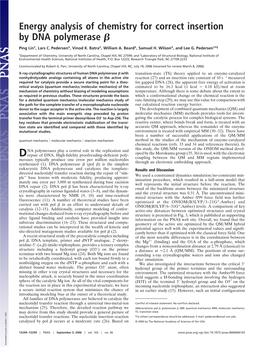 Energy Analysis of Chemistry for Correct Insertion by DNA Polymerase ␤