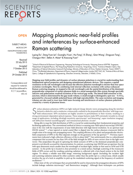 Mapping Plasmonic Near-Field Profiles and Interferences by Surface-Enhanced Raman Scattering