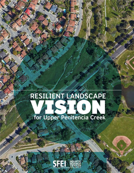 Upper Penitencia Creek Vision