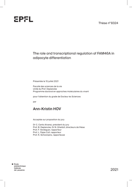 The Role and Transcriptional Regulation of FAM46A in Adipocyte Differentiation