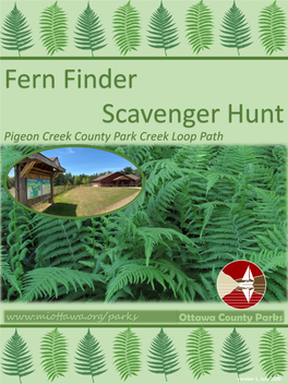 Fern Finder Scavenger Hunt Pigeon Creek County Park Creek Loop Path