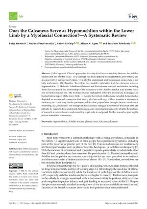 Does the Calcaneus Serve As Hypomochlion Within the Lower Limb by a Myofascial Connection?—A Systematic Review