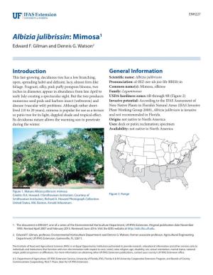 Albizia Julibrissin: Mimosa1 Edward F