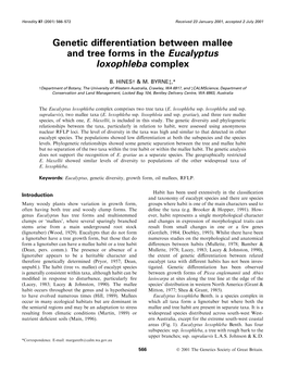 Genetic Differentiation Between Mallee and Tree Forms in the Eucalyptus Loxophleba Complex