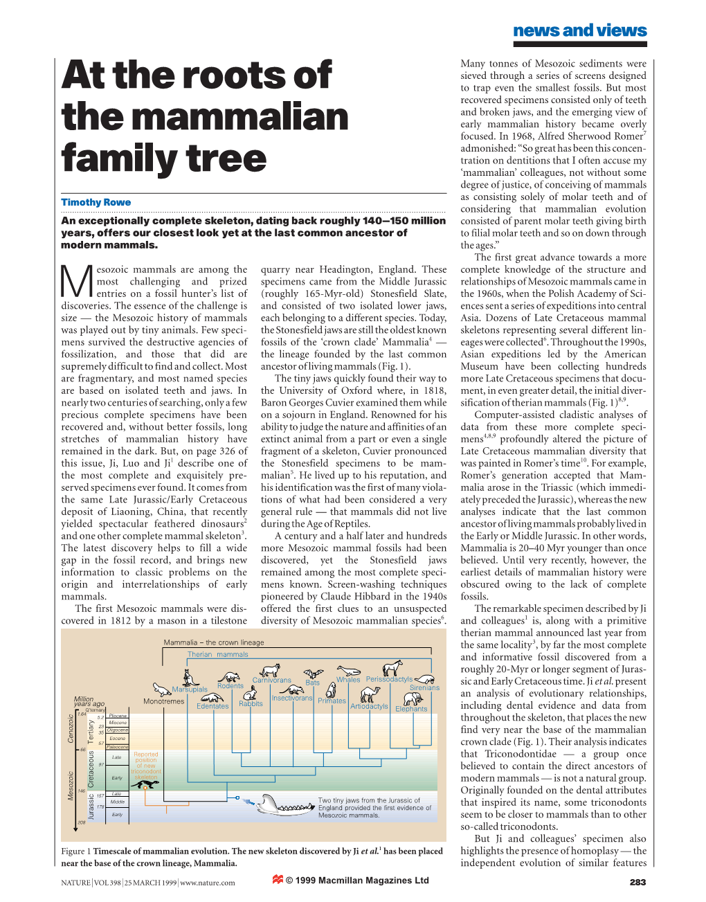 At the Roots of the Mammalian Family Tree