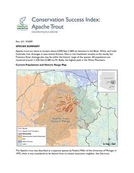 Apache Trout ONCORHYNCHUS APACHE