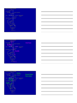 Fed State Insulin Insulin Fasted State/ Starvation