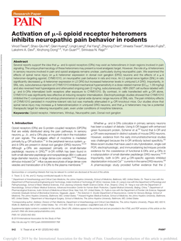 Activation of M-D Opioid Receptor Heteromers Inhibits Neuropathic Pain Behavior in Rodents