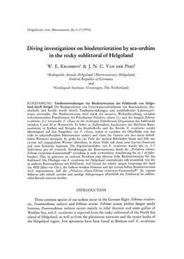 Diving Investigations on Biodeterioration by Sea-Urchins in the Rocky Sublittoral of Helgoland