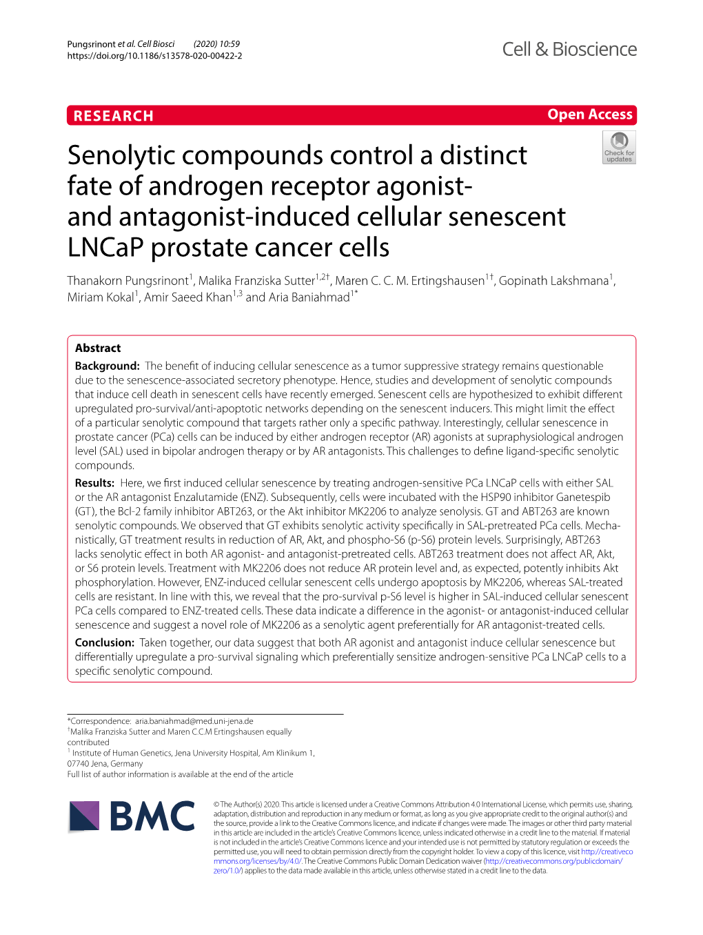 And Antagonist-Induced Cellular Senescent Lncap Prosta