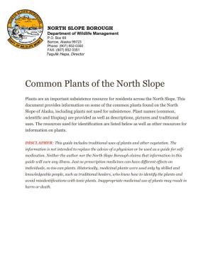 Common Plants of the North Slope