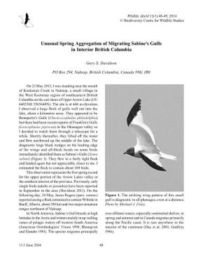 Unusual Spring Aggregation of Migrating Sabine's Gulls in Interior