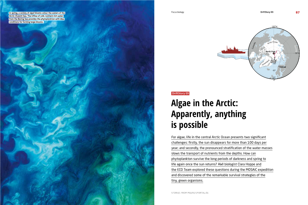 Algae in the Arctic: Apparently, Anything Is Possible