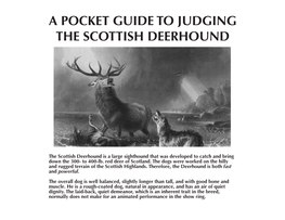 A Pocket Guide to Judging the Scottish Deerhound