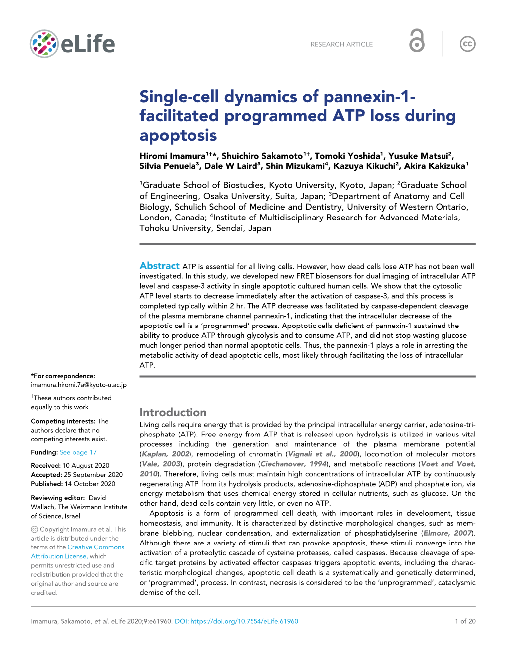 Single-Cell Dynamics of Pannexin-1- Facilitated Programmed ATP Loss