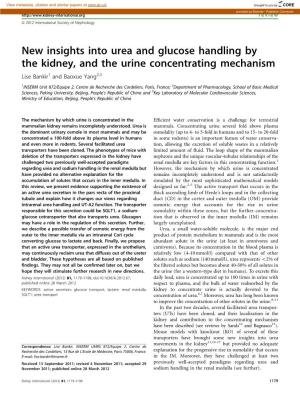 New Insights Into Urea and Glucose Handling by the Kidney, and the Urine Concentrating Mechanism Lise Bankir1 and Baoxue Yang2,3