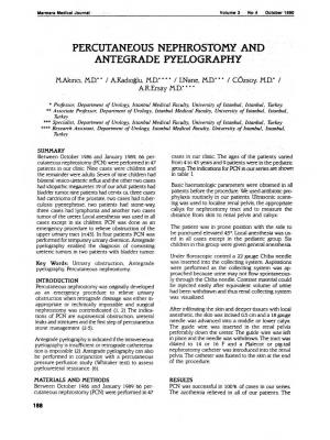 Percutaneous Nephrostomy and Antegrade Pyelography