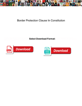 Border Protection Clause in Constitution