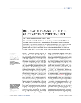 Regulated Transport of the Glucose Transporter Glut4