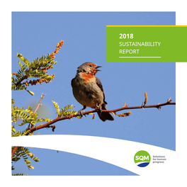 Sustainability Report V