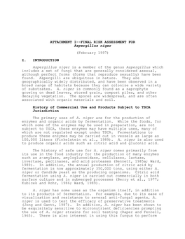 FINAL RISK ASSESSMENT for Aspergillus Niger (February 1997)